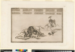 Echan perros al toro (They Loose Dogs on the Bull)