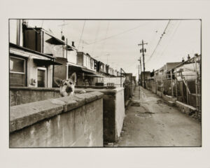 Locust Point Alley, South Baltimore.