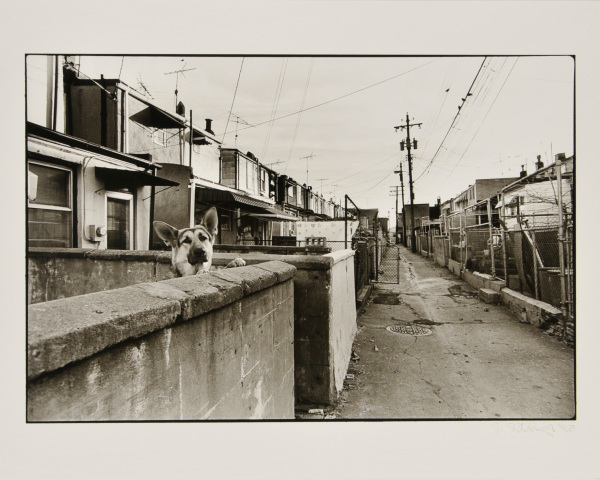 LOCUST POINT ALLEY, SOUTH BALTIMORE.