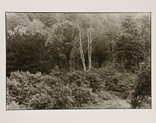 Outskirts of Oakland. - Image 2