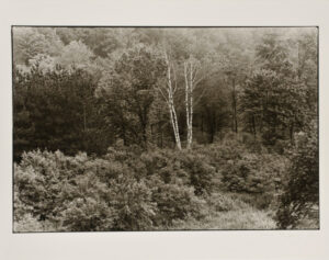 Outskirts of Oakland.