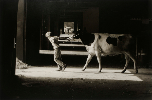 Timonium Fair. - Image 3
