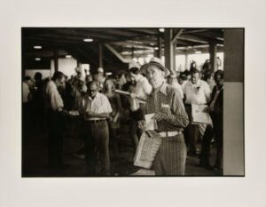 Old Gambler, Timonium Race Track.