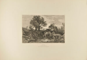 Les vaches à l’abreuvoir