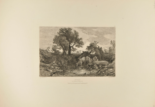 LES VACHES À L'ABREUVOIR