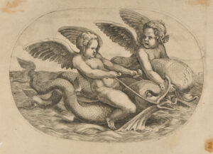 Two Cupids Riding on Dolphins