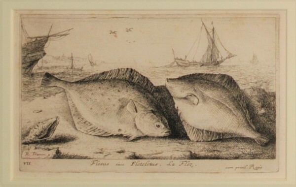 Flesus siue Fleteletus. La Flez - Image 2