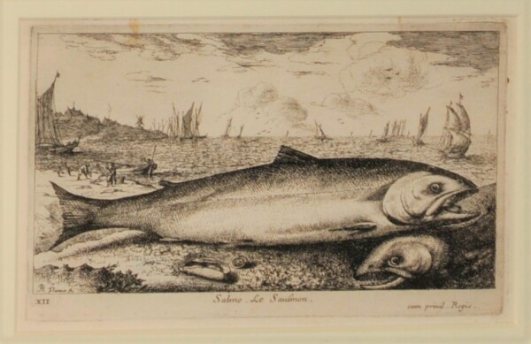 Salmo. Le Saulmon - Image 2