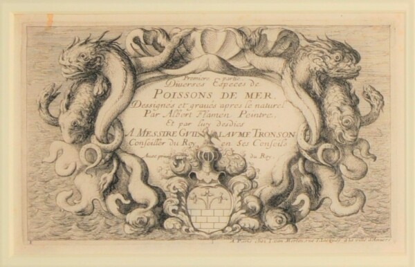 Title Plate from the series “Several Salt Water Fish Species, Part I” - Image 2
