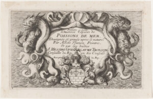 Title Plate from the series “Several Salt Water Fish Species, Part I”