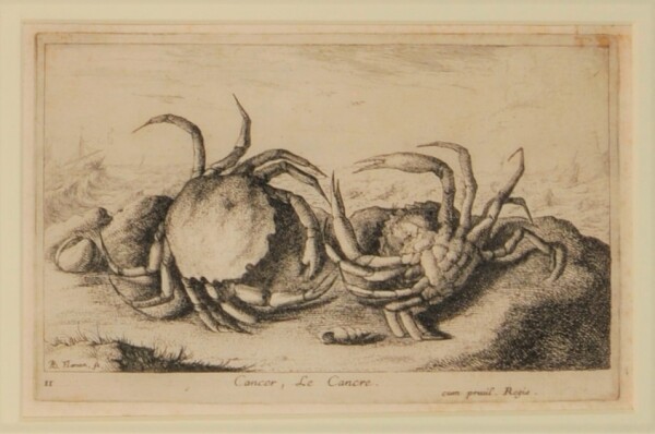 Cancer, Le Cancre - Image 2