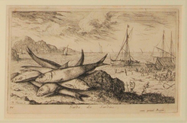 Sarda, La Sardine - Image 2