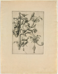 From the series “Nova Alphati Effictio”