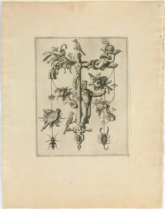 From the series “Nova Alphati Effictio”