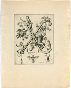 From the series “Nova Alphati Effictio”