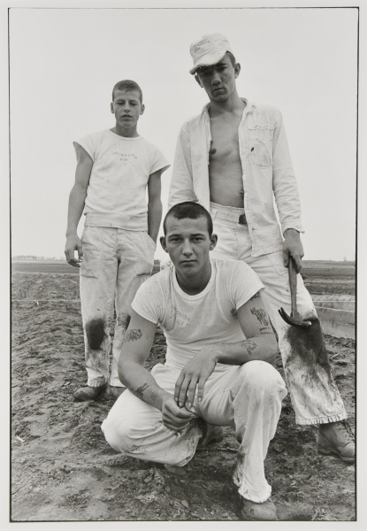 Age 18, Six Years, Theft; Age 18, Three Years, Burglary; Age 18, Four Years, Forgery, Diagnostic - Image 4