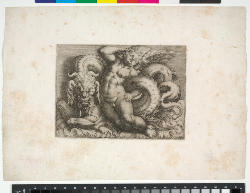 PUTTO WITH DOG-SEA MONSTER