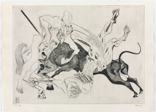 From the portfolio “Black Bull” - Image 2