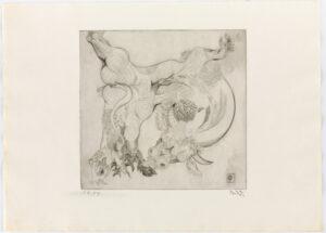 From the portfolio “Black Bull”