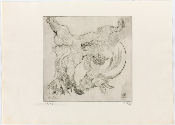 From the portfolio “Black Bull” - Image 1