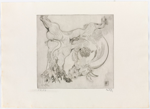 From the portfolio “Black Bull” - Image 2