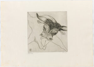 From the portfolio “Black Bull”