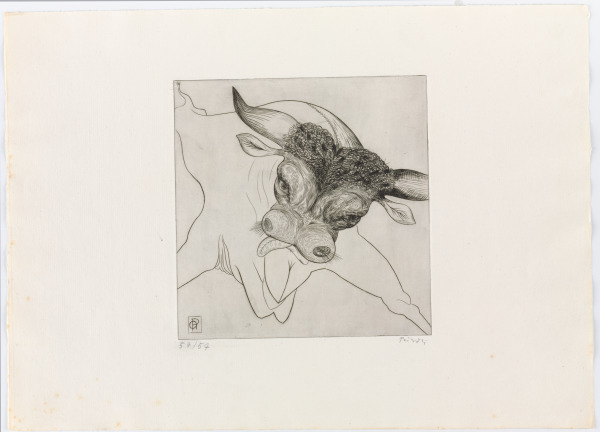 From the portfolio “Black Bull” - Image 2