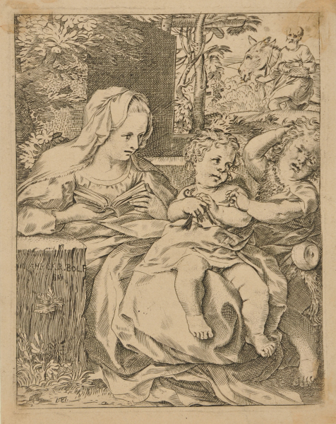 The Virgin of the Swallow