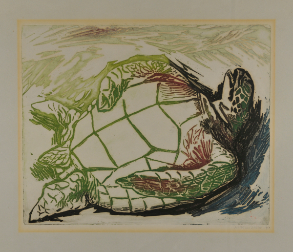 Turtle - Image 2