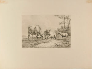 Two Cows and a Sheep