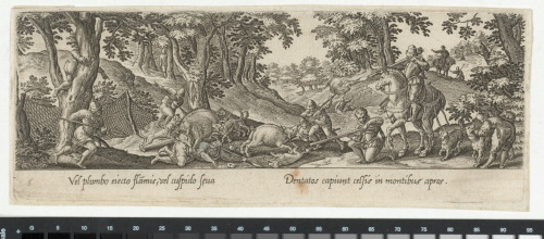 THE BOAR HUNT
