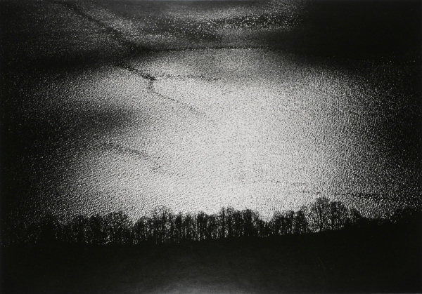 Eastern Shore. - Image 3