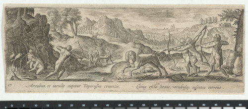 The Tapir Hunt
