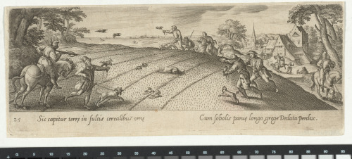 THE BIRD HUNT IN THE WHEAT FIELD