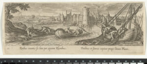 Fishing for Turbot and Seal Hunt