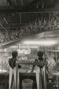 Perdue Chicken Processing Plant, Salisbury.