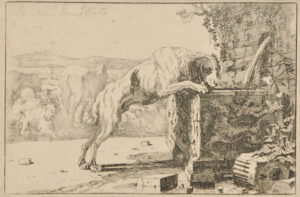 The Dog at the Fountain