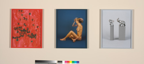 Cherries, Raspberries, Blackberries (Marbled) - Image 3