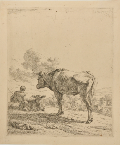 A Standing Bull and a Resting Calf