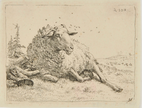 THE SHEEP RESTING NEAR A TREE TRUNK