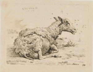 The Sheep and the Flies