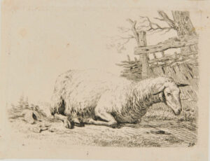 The Sheep by the Straw Fence