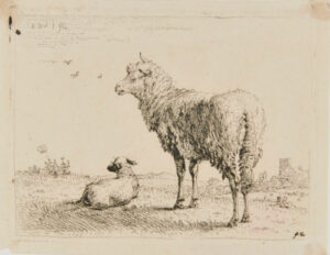 The Ewe and her Lamb