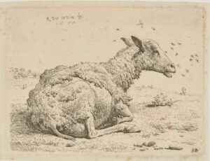 The Sheep and the Flies