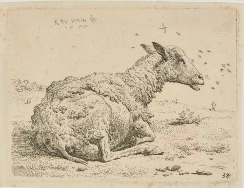 THE SHEEP AND THE FLIES