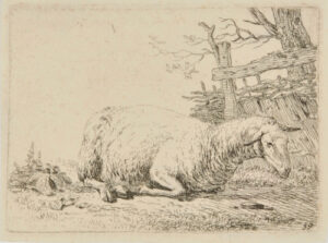 The Sheep by the Straw Fence