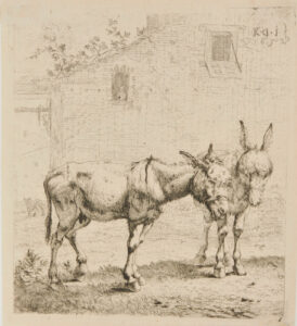 The Two Donkeys