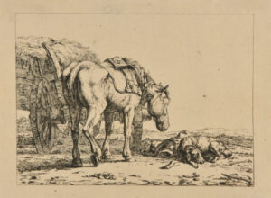 Horse Standing by a Hay Cart