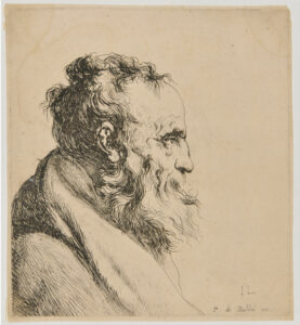 Head of an Old Man, with Long Beard, Profile to Right