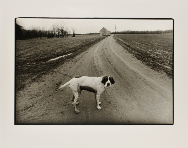 Farmer Abel’s Dog, St. Mary’s County. - Image 4
